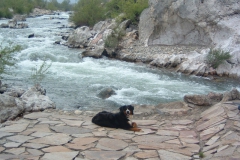 image-de-papa-025