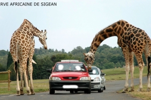 divertissements-en-famille